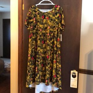 LuLaRoe NWT Carly in Large